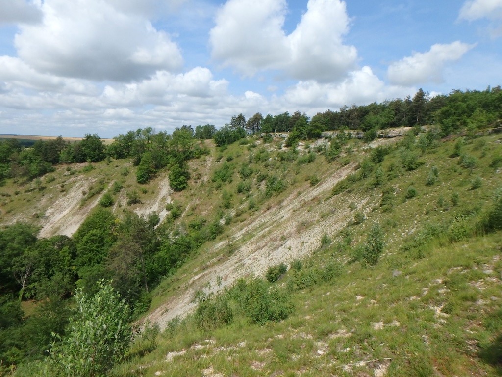 Le Cirque de la Coquille à Étalante