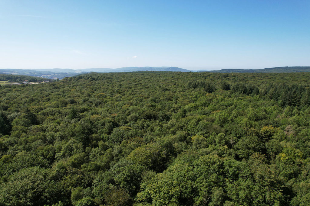 Vue aérienne de la photo de Montmain - Olivier Girard - CEN Bourgogne
