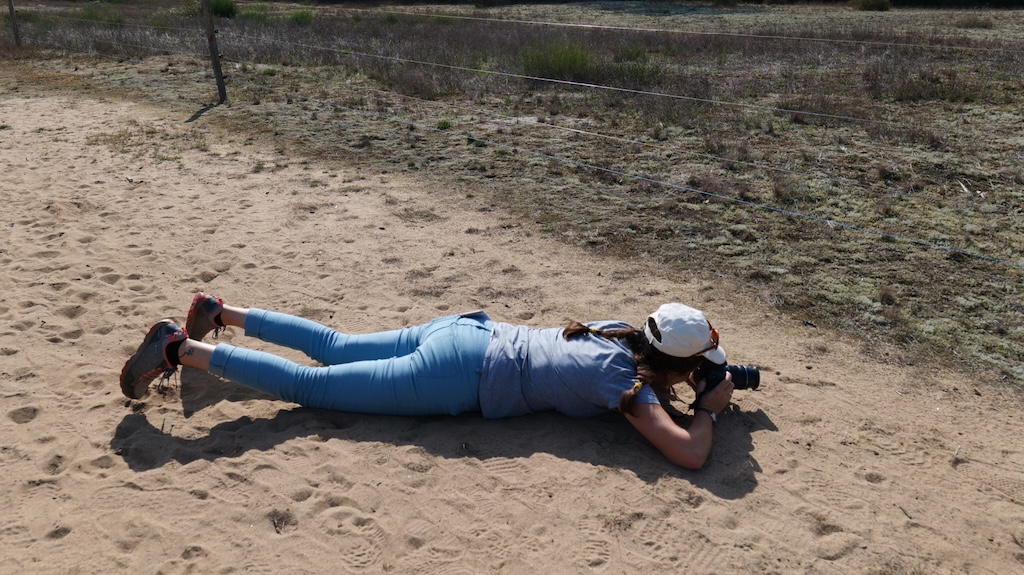 Photographe sur les dunes de la Réserve Naturelle Nationale de La Truchère Ratenelle