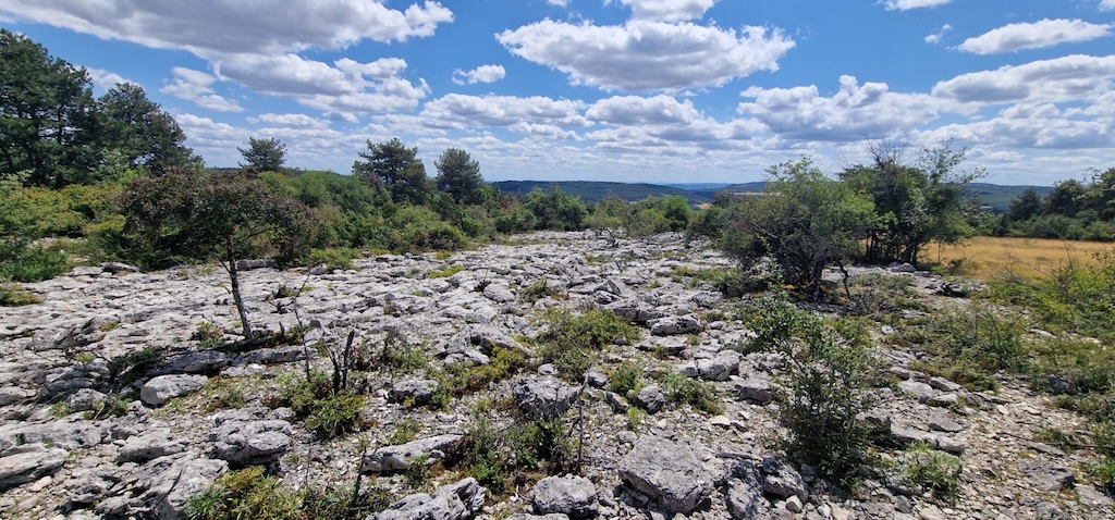 Lapaz sur la pelouse de Nantoux (21)