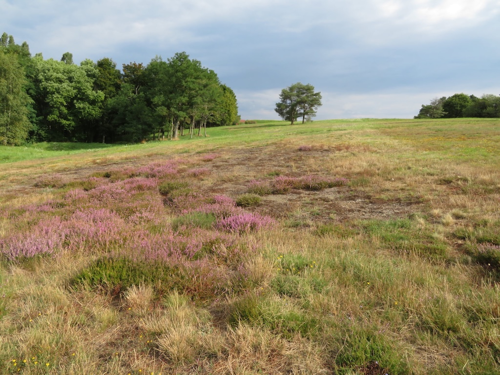 La Lande de la Chaume au Creusot