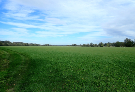 Prairie de la Vallée de la Seille