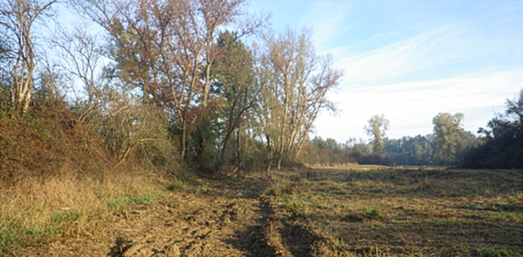 Parcelle sur une île de la Loire à Bourbon-Lancy (71)