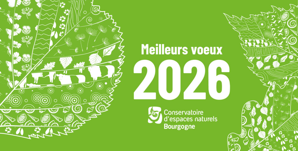Meilleurs voeux 2026