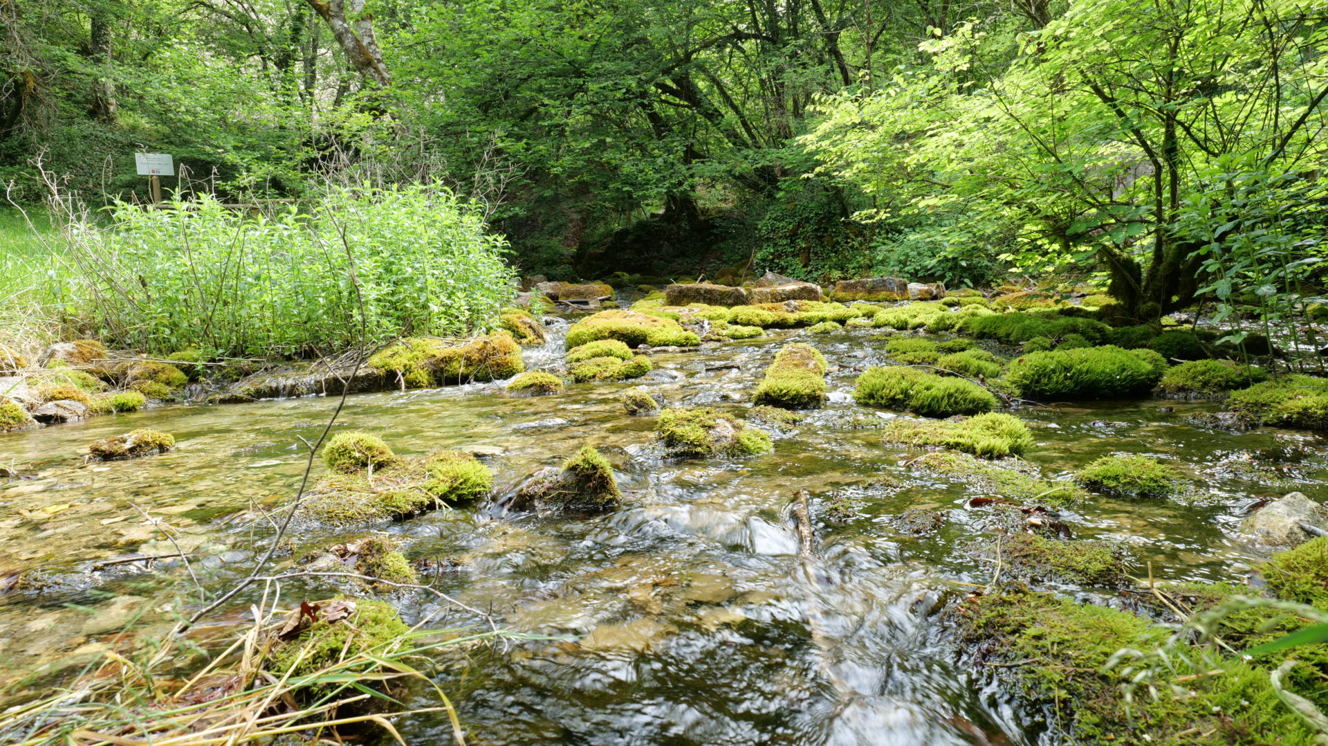 La source de la Coquille à Étalante (21)